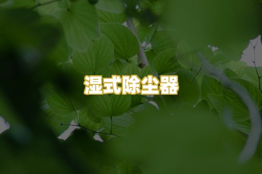 湿式除尘器