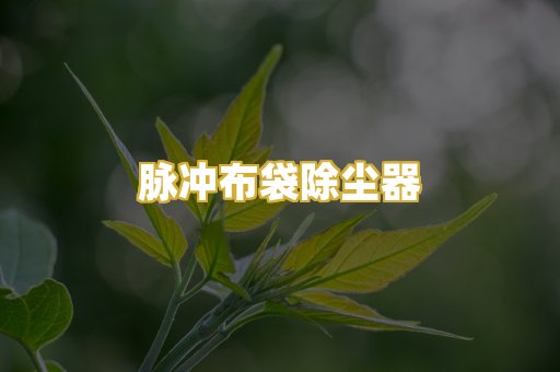 脉冲布袋除尘器